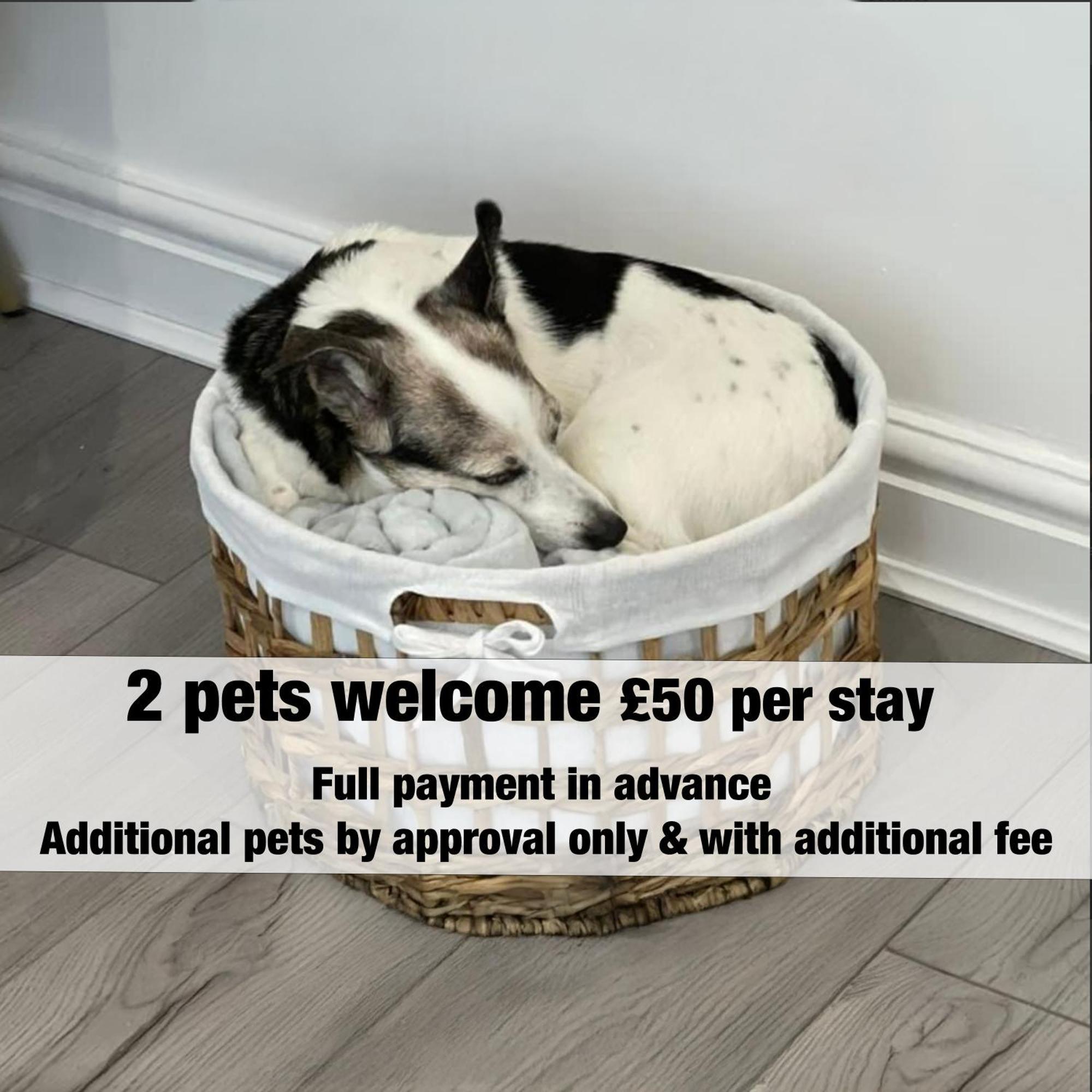 Norton Terrace Charming Home In The Beautiful Afan Forest By Staystaycations Port Talbot Zewnętrze zdjęcie